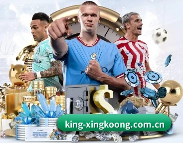关于我们 - 体育资讯内容服务 - xingkong